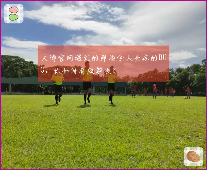 火博官网遇到的那些令人头疼的BUG，你如何有效解决？