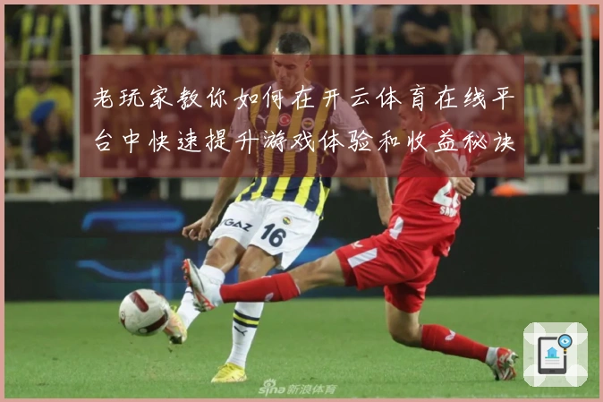 老玩家教你如何在开云体育在线平台中快速提升游戏体验和收益秘诀