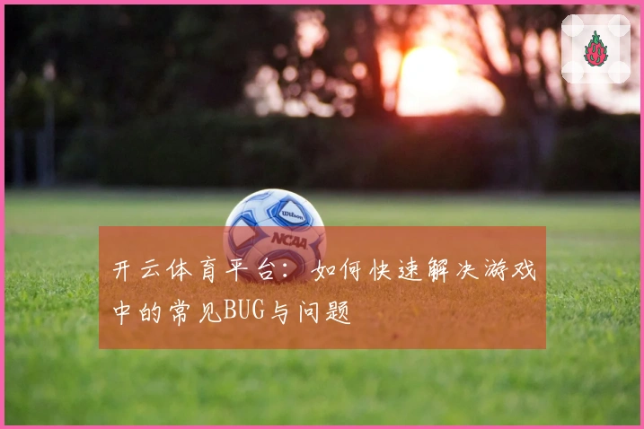 开云体育平台：如何快速解决游戏中的常见BUG与问题